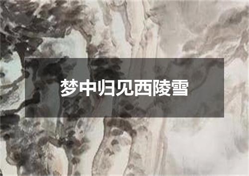 梦中归见西陵雪