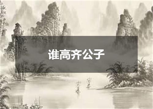 谁高齐公子