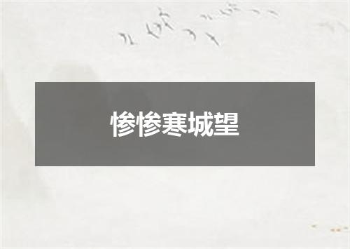 惨惨寒城望
