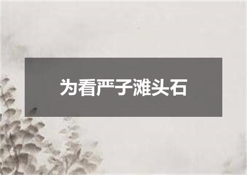为看严子滩头石