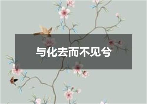 与化去而不见兮