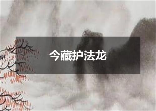 今藏护法龙