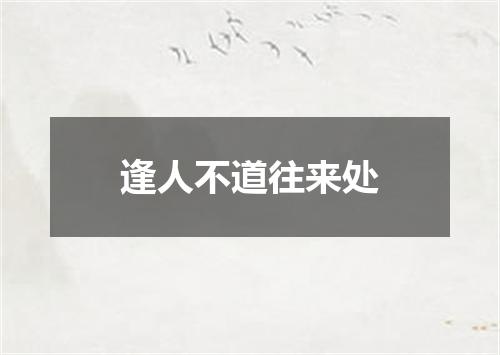 逢人不道往来处