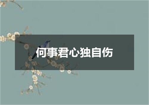 何事君心独自伤