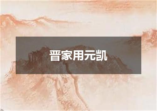 晋家用元凯