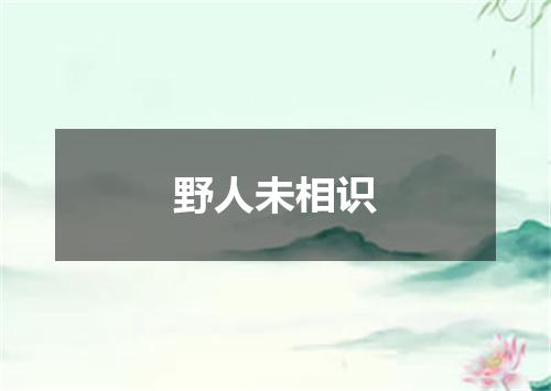 野人未相识