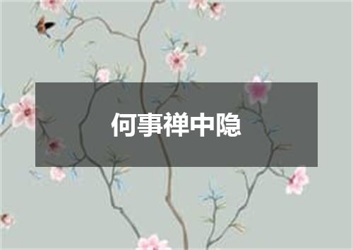 何事禅中隐