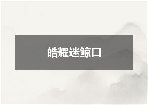 皓耀迷鲸口