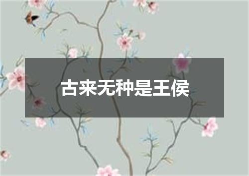 古来无种是王侯