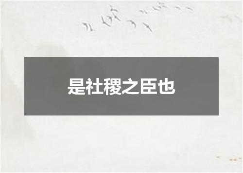 是社稷之臣也