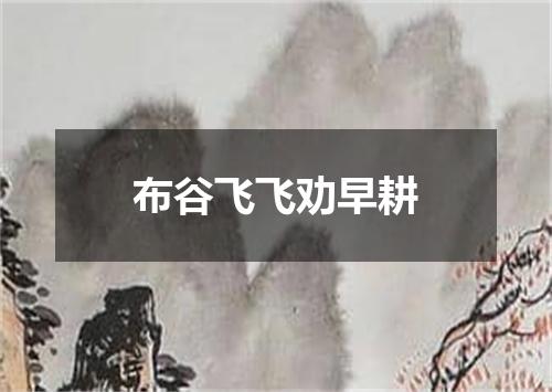 布谷飞飞劝早耕