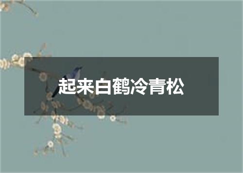 起来白鹤冷青松