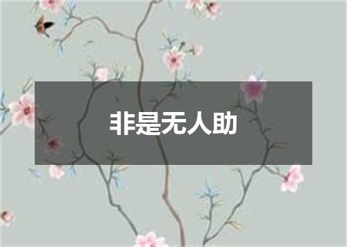 非是无人助