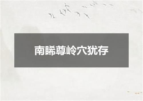 南睎尊岭穴犹存