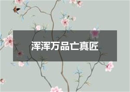 浑浑万品亡真匠
