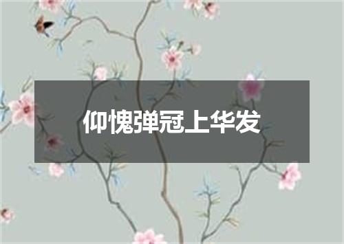 仰愧弹冠上华发
