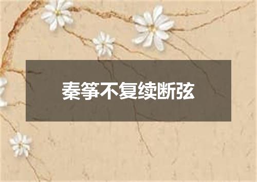 秦筝不复续断弦