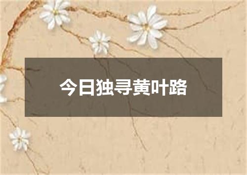 今日独寻黄叶路