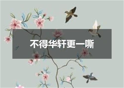 不得华轩更一嘶