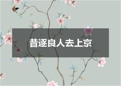 昔逐良人去上京