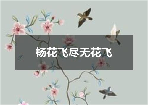 杨花飞尽无花飞