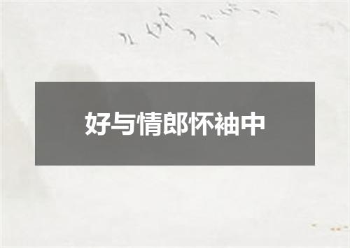 好与情郎怀袖中
