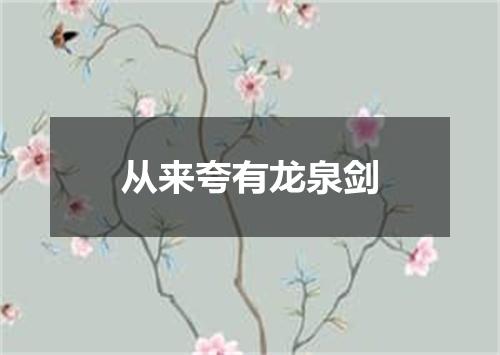 从来夸有龙泉剑