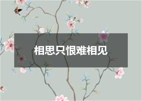 相思只恨难相见