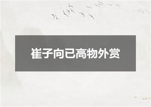 崔子向已高物外赏