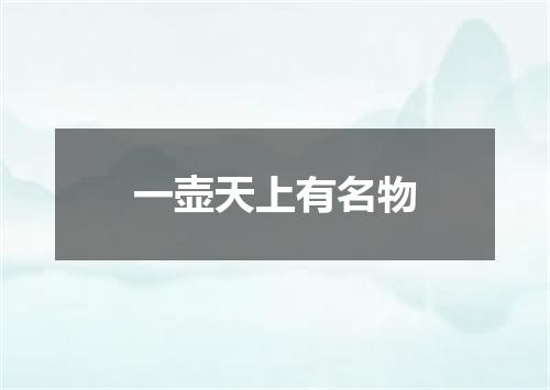 一壶天上有名物