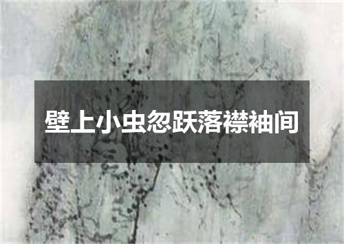壁上小虫忽跃落襟袖间