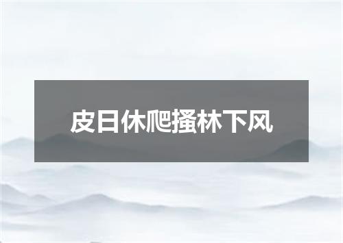 皮日休爬搔林下风