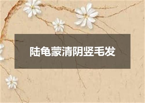 陆龟蒙清阴竖毛发