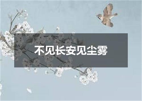 不见长安见尘雾