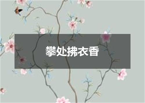 攀处拂衣香