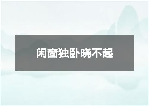 闲窗独卧晓不起