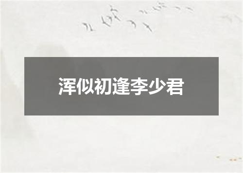 浑似初逢李少君