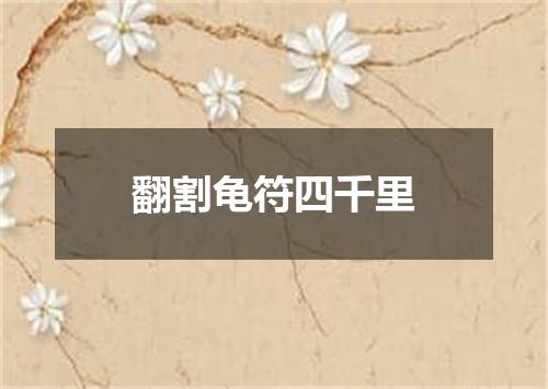 翻割龟符四千里