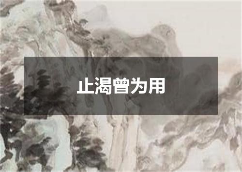 止渴曾为用