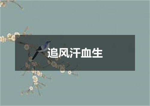 追风汗血生