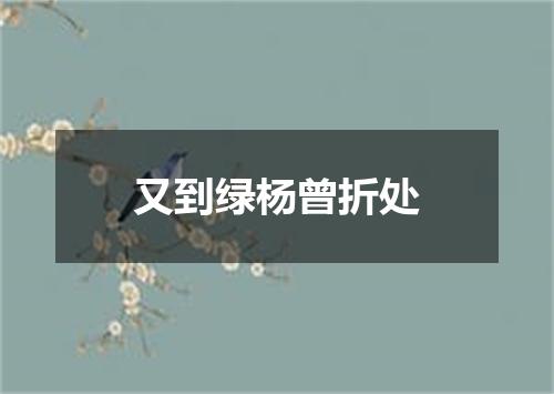 又到绿杨曾折处
