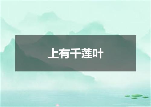 上有千莲叶