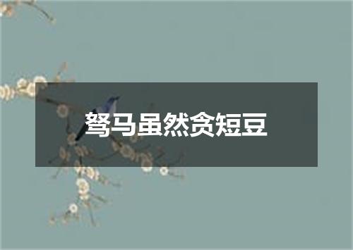驽马虽然贪短豆
