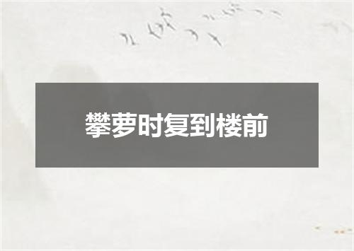 攀萝时复到楼前