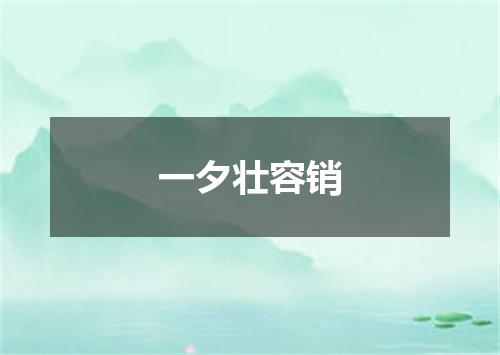一夕壮容销