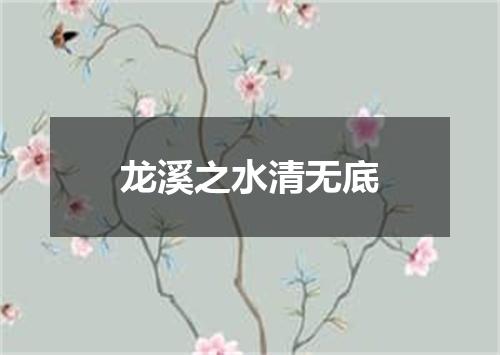 龙溪之水清无底