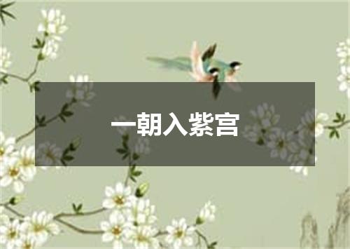 一朝入紫宫