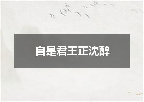 自是君王正沈醉