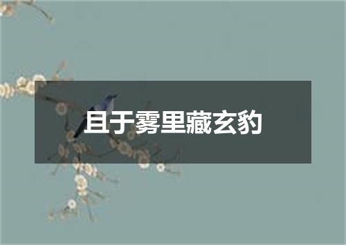 且于雾里藏玄豹
