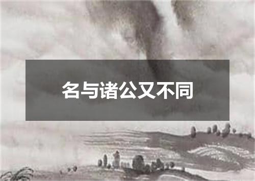 名与诸公又不同